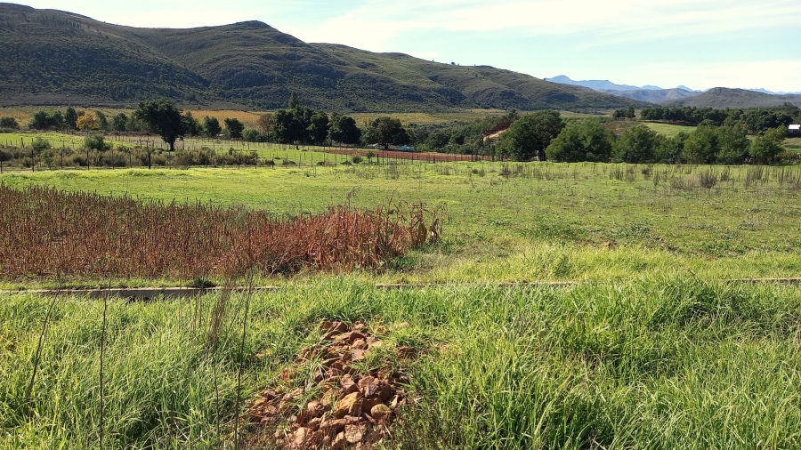 Commercial Property for Sale in Haarlem Western Cape